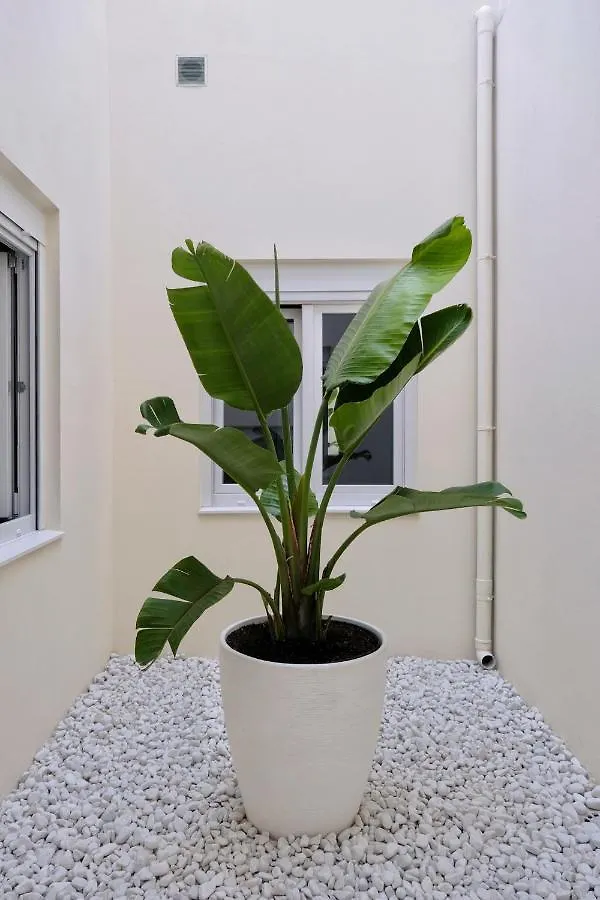 Apartmán Urban Oasis La Palma Santa Cruz de la Palma